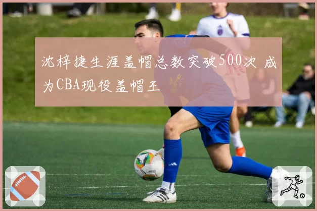 沈梓捷生涯盖帽总数突破500次 成为CBA现役盖帽王