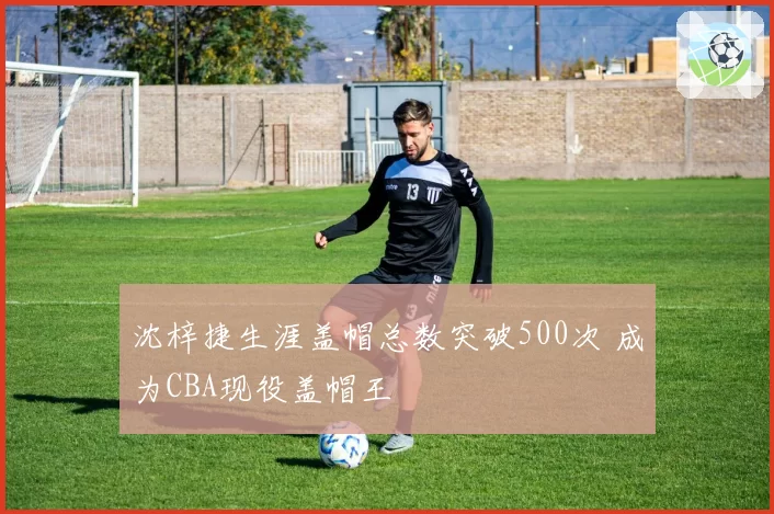 沈梓捷生涯盖帽总数突破500次 成为CBA现役盖帽王